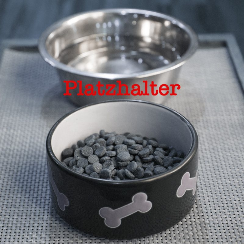 Futternapf-Hund-gesund Futternapf-Hund-gesund